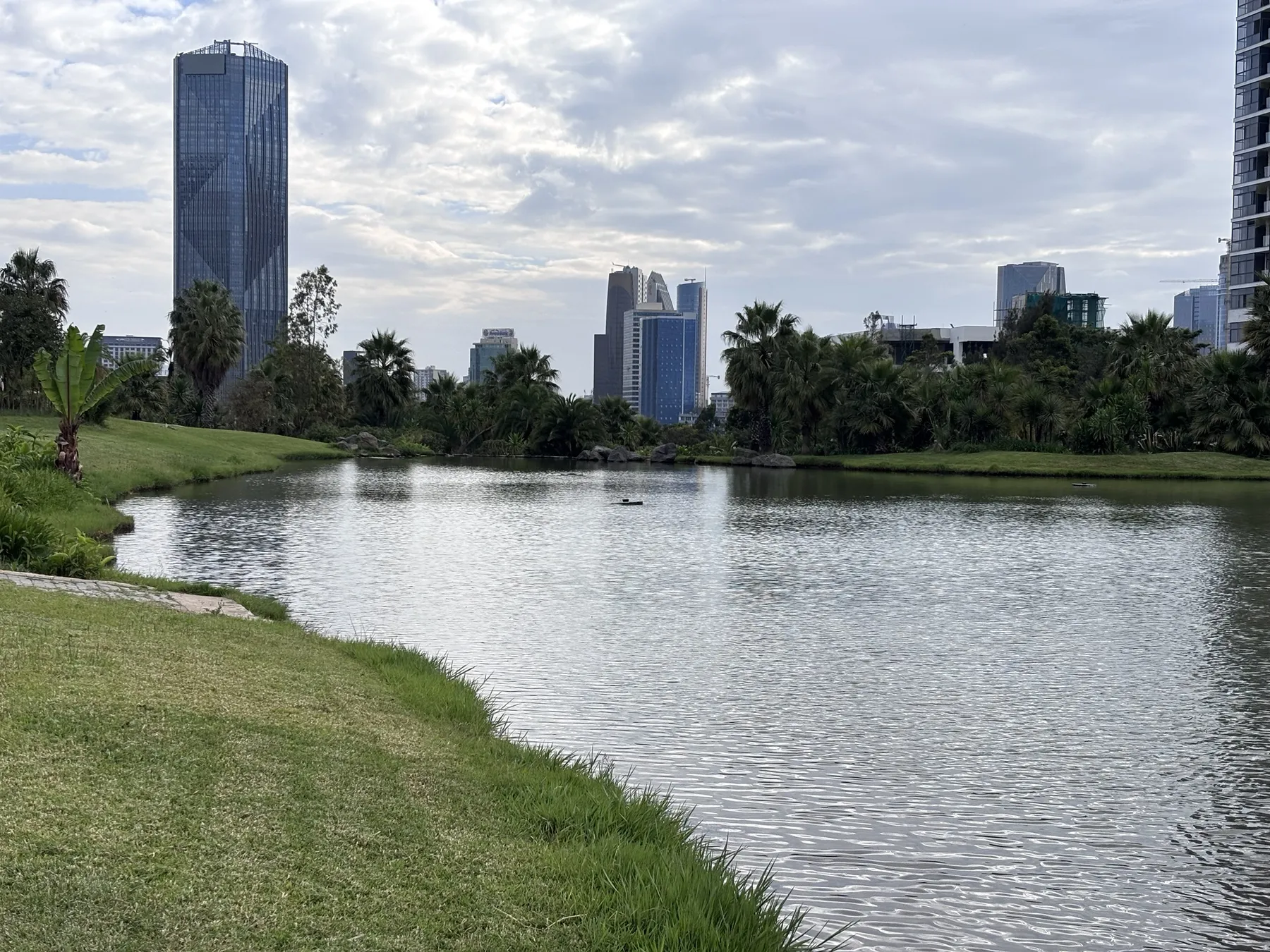 Addis Ababa skyline seen from a lakeside park